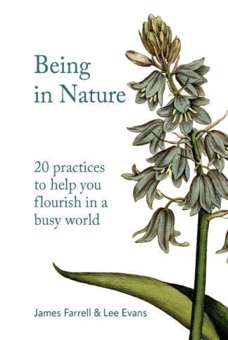 being in nature book cover