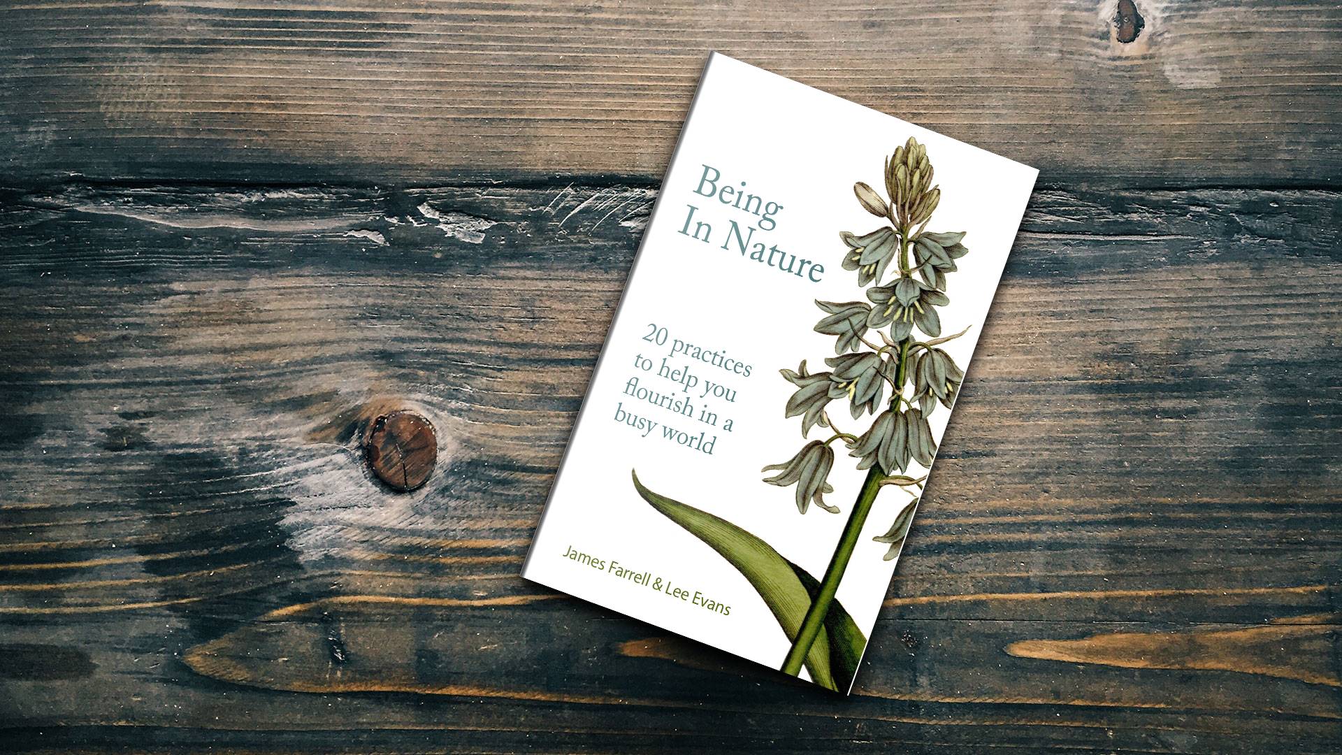 Being in Nature book on wooden table