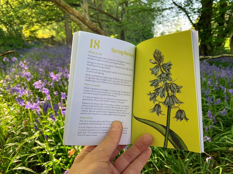 Spring Forward practice, book with writing and bluebell illustration with woodland backdrop