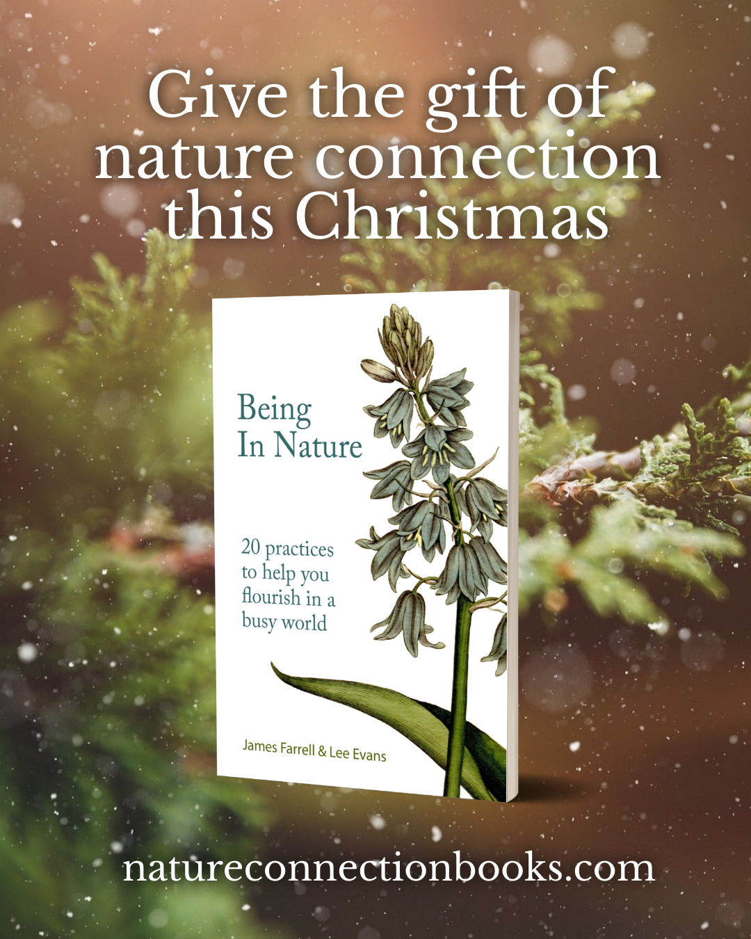 book marketing christmas advert 'being in nature'