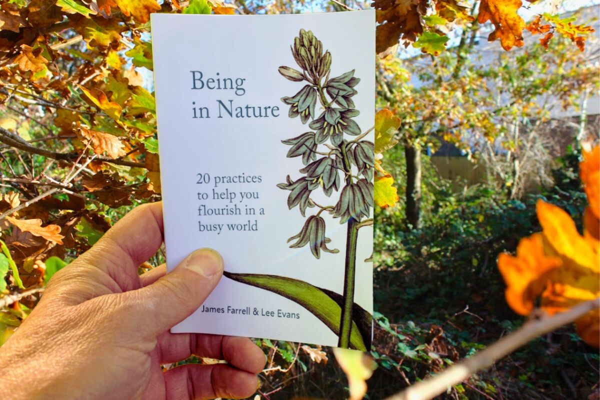 hand holding book being in nature against autumn trees