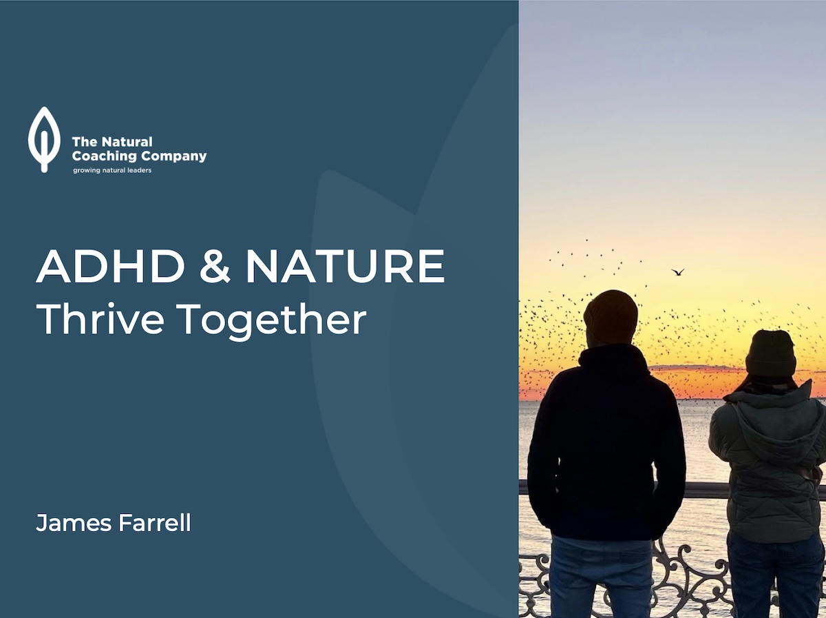 seed talk slide with two people sunset and birds in sky